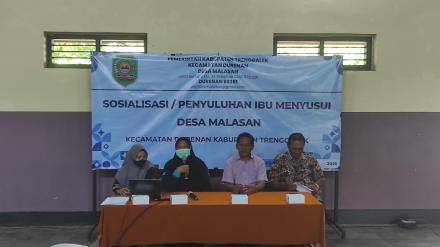 KEGIATAN PENYULUHAN IBU MENYUSUI DESA MALASAN 